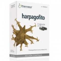 HOMEOSOR HARPAGOFITO 48...