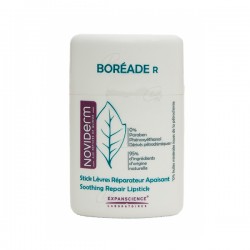 BOREADE R STICK REPARADOR...
