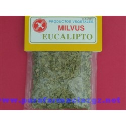 EUCALIPTUS MILVUS SOBRE...