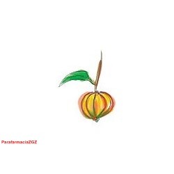 GARCINIA GAMBOGIA 45 CAPS...