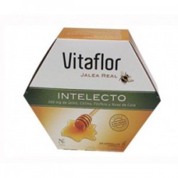 VITAFLOR INTELECTO JALEA...