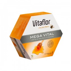 VITAFLOR MEGA VITAL JALEA...