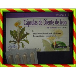HOMEOSOR DIENTE LEON 48...